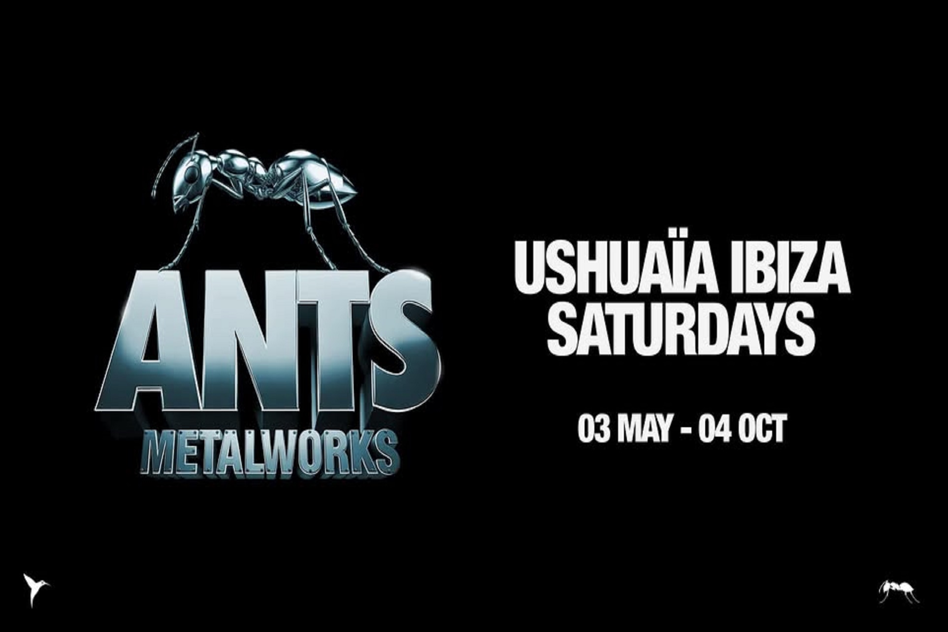 ants ushuaia1